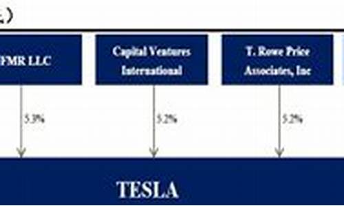 特斯拉 股东_特斯拉股东构成情况