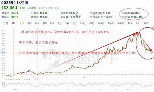 比亚迪股票近十年数据分析报告,比亚迪股票近十年数据