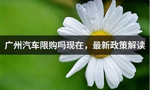 广州汽车限迁取消最新消息,广州汽车限购政策最新消息最新