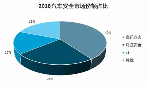 汽车安全系统市场,汽车安全系统未来发展前景