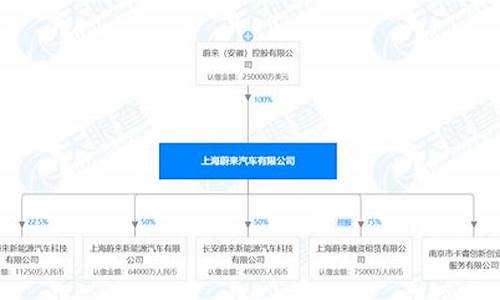 蔚来汽车股东构成结构,蔚来汽车股东构成结构是什么