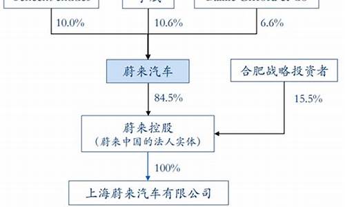 蔚来汽车股东大会,蔚来汽车大股东持股比例